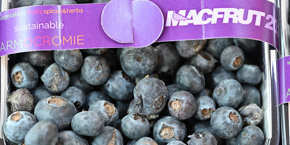 La filiera dei Berries protagonista a Macfrut 2025